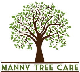 Manny Tree Care